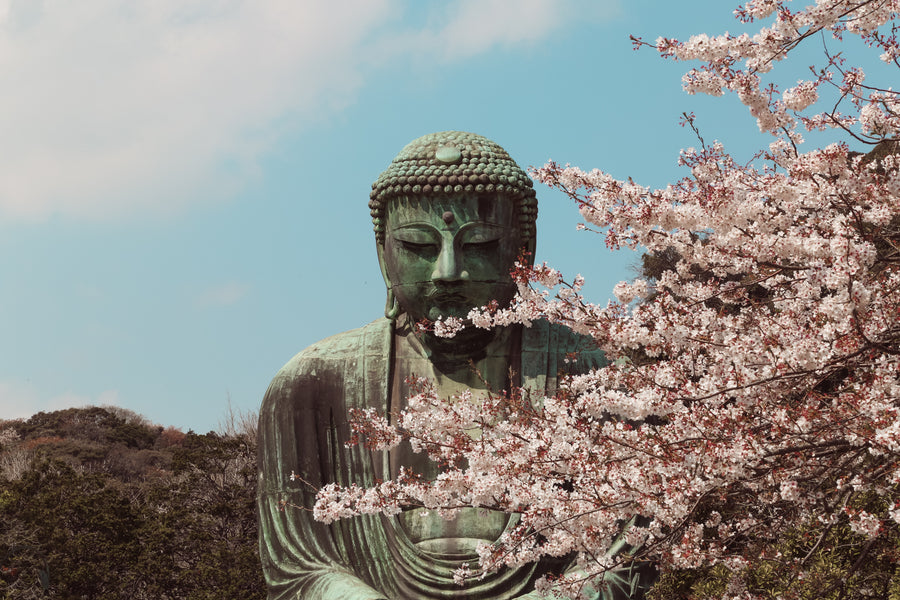 Japan through the lens of Giulia Hepburn