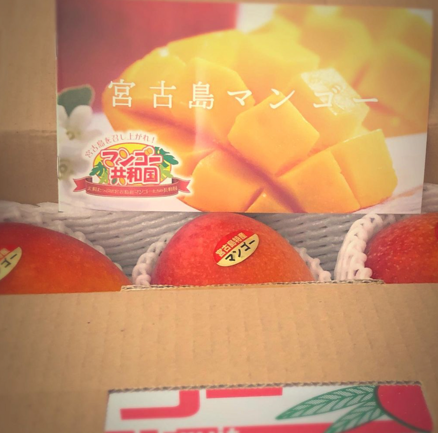 The Island’s Jewels - mangoes from Miyakojima in Okinawa